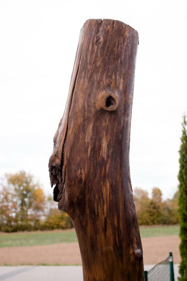 Art & Nature Apartments In Der Naehe Ffm-Messe バート・フィルベル エクステリア 写真