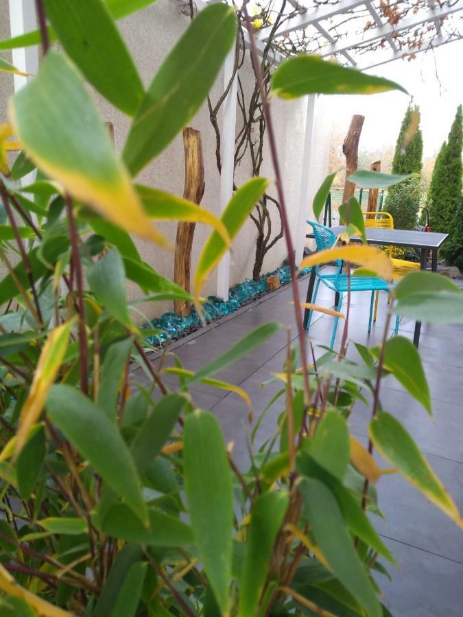 Art & Nature Apartments In Der Naehe Ffm-Messe バート・フィルベル エクステリア 写真